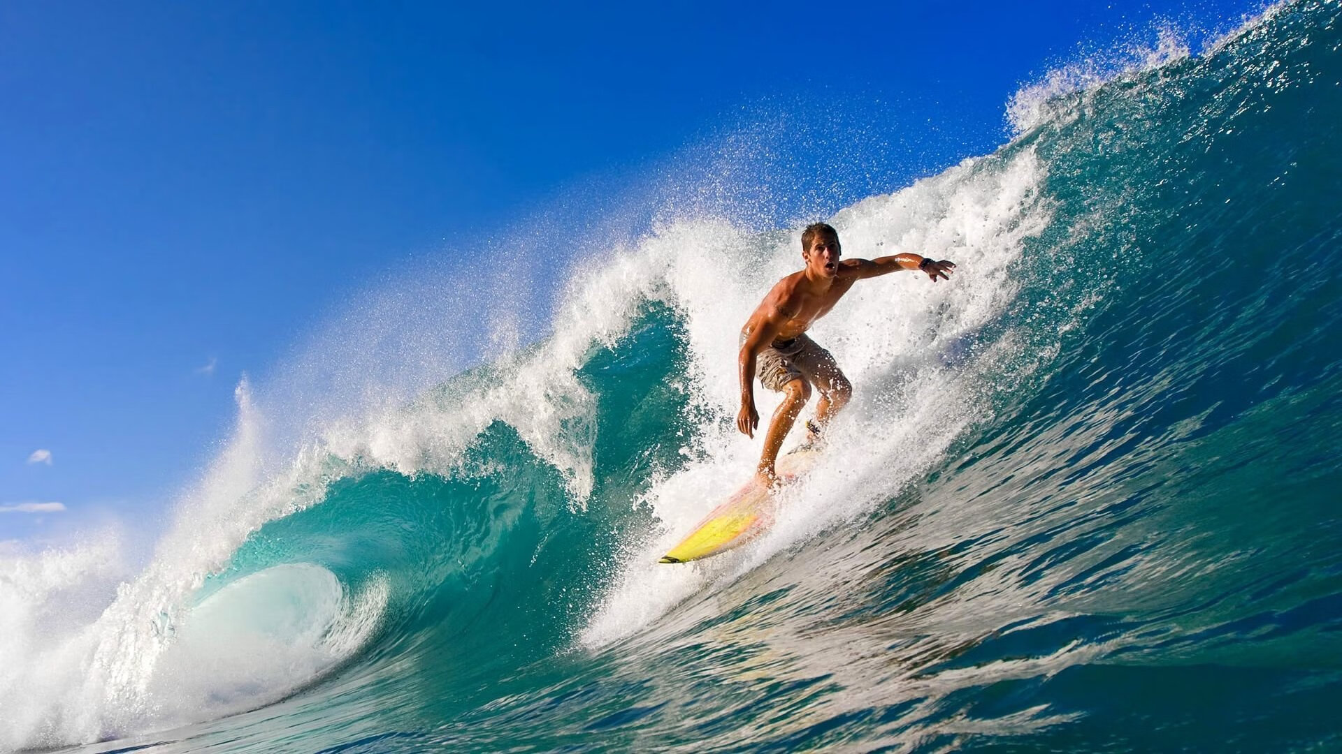 国家健身指导中心推广全民健康理念,国家健身指导中心推广全民健康理念活动